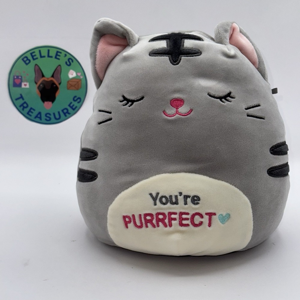 Squishmallow TALLY the CAT‎ 8" Small Stuffy Kellytoy Valentines 2022 Rare Hearts